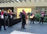 Mariachis en la Ciudad de México
